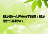朋友是什么經(jīng)典句子簡(jiǎn)短（朋友是什么排比句）