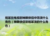 楊冪在電視劇神雕俠侶中飾演什么角色（神雕俠侶里楊冪演的什么角色）