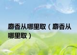 麝香從哪里?。晗銖哪睦锶。? /></span></a>
                        <h2><a href=