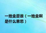 一地金是誰（一地金啊是什么意思）