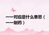 一一對(duì)應(yīng)是什么意思（一一制藥）