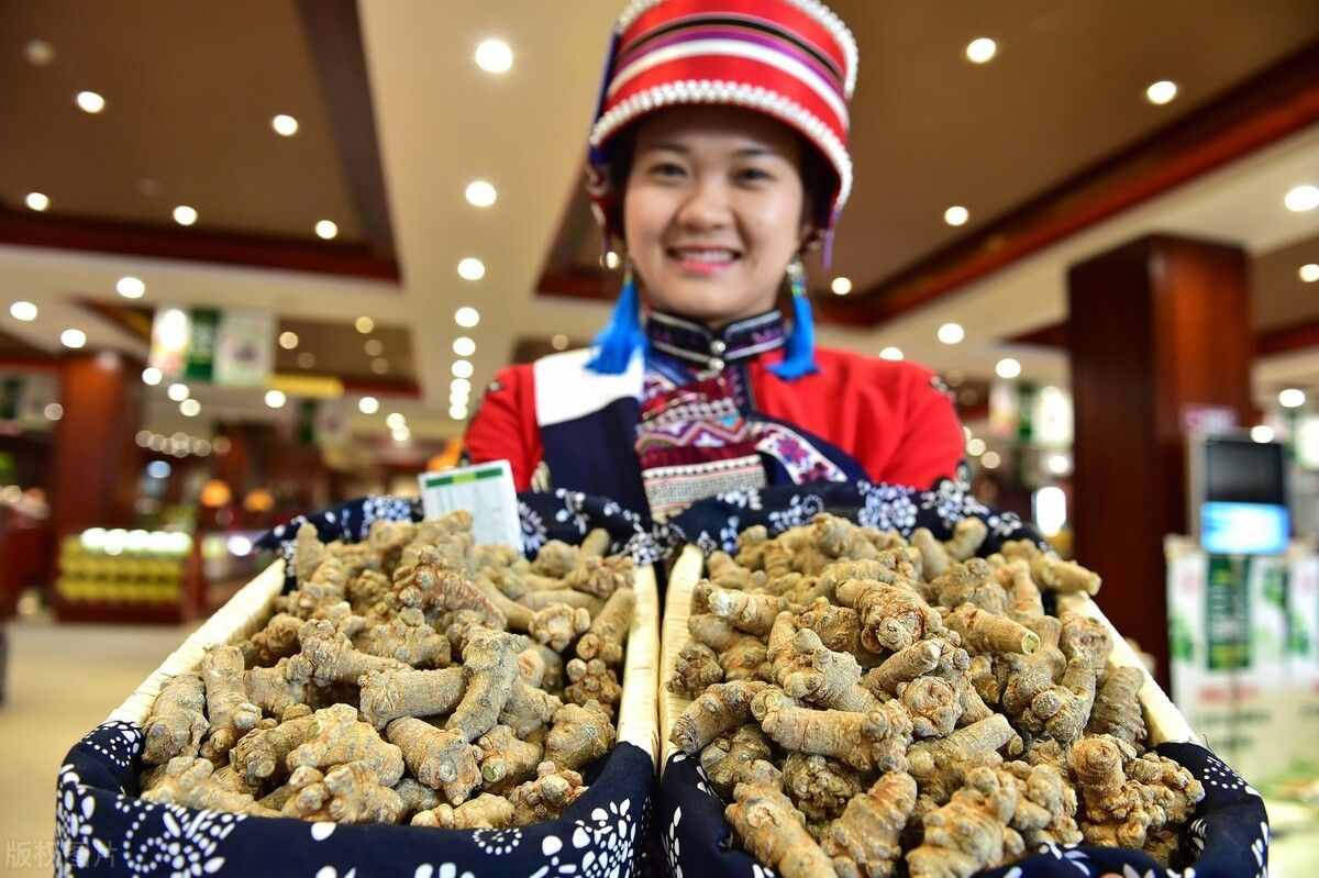 文山三七選購的方法，你知道多少