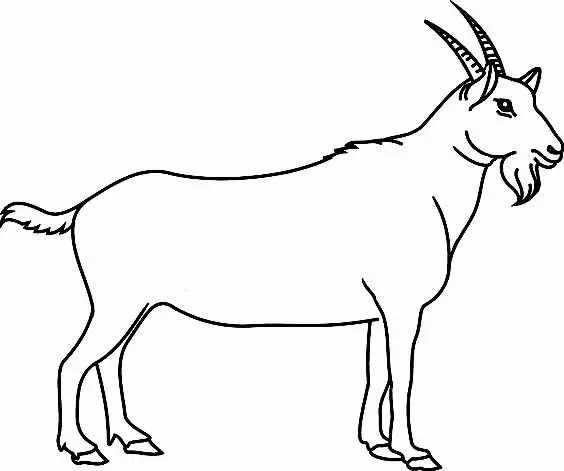 簡筆畫：7種山羊簡筆畫畫法，簡單易學(xué)，適合小白學(xué)習(xí)的簡筆畫