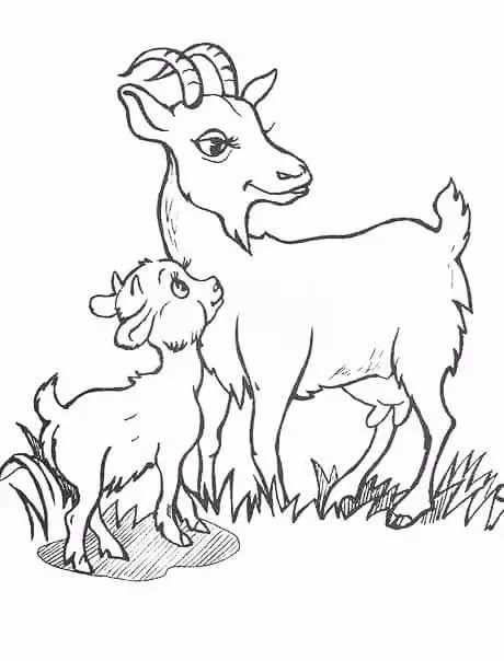簡筆畫：7種山羊簡筆畫畫法，簡單易學(xué)，適合小白學(xué)習(xí)的簡筆畫