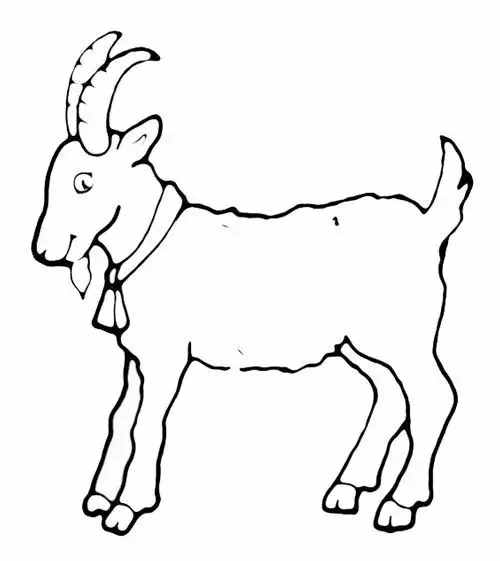 簡筆畫：7種山羊簡筆畫畫法，簡單易學(xué)，適合小白學(xué)習(xí)的簡筆畫