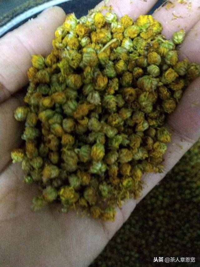 網(wǎng)購菊花茶安全么？要想放心還得自己釆制！教您如何自制野菊花茶