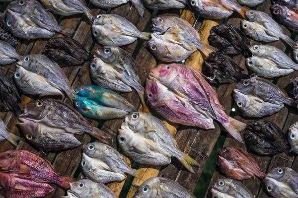 以“咸魚”命名的野草，長(zhǎng)在山坡上不起眼，咽喉痛煎水一喝就好