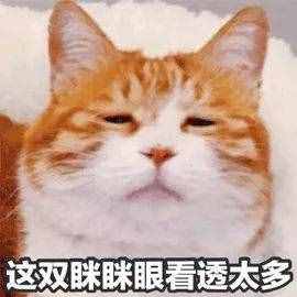 買不起戴森？這4款好用不貴的卷發(fā)棒了解一下！
