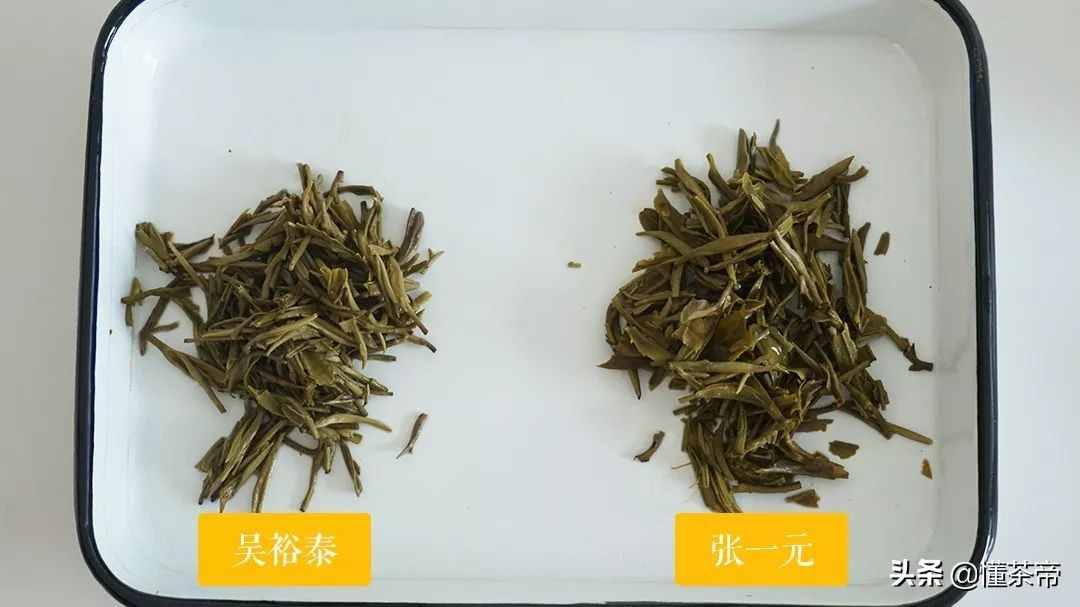 巨頭PK，張一元VS吳裕泰茉莉花茶客觀測(cè)評(píng)，誰(shuí)更勝一籌？