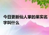 今日更新仙人掌的果實名字叫什么