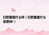 掃把星是什么樣（掃把星是什么意思呀!）