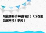 現(xiàn)在的我很幸福抖音（《現(xiàn)在的我很幸?！犯柙~）