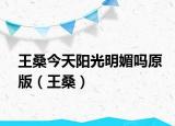 王桑今天陽光明媚嗎原版（王桑）