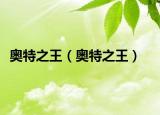 奧特之王（奧特之王）
