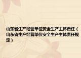 山東省生產(chǎn)經(jīng)營單位安全生產(chǎn)主體責(zé)任（山東省生產(chǎn)經(jīng)營單位安全生產(chǎn)主體責(zé)任規(guī)定）