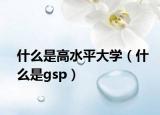 什么是高水平大學（什么是gsp）