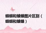 蟈蟈和蛐蛐圖片區(qū)別（蟈蟈和蛐蛐）