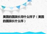 美國(guó)的國(guó)旗長(zhǎng)得什么樣子（美國(guó)的國(guó)旗長(zhǎng)什么樣）