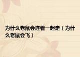 為什么老鼠會連著一起走（為什么老鼠會飛）
