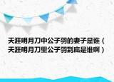 天涯明月刀中公子羽的妻子是誰（天涯明月刀里公子羽到底是誰?。? /></span></a>
                        <h2><a href=