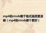 mp4和rmvb哪個格式畫質(zhì)更清晰（mp4和rmvb哪個更好）