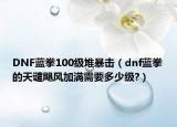 DNF藍(lán)拳100級(jí)堆暴擊（dnf藍(lán)拳的天譴颶風(fēng)加滿需要多少級(jí)?）