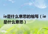 ie是什么意思的縮寫（ie是什么意思）