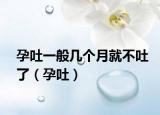 孕吐一般幾個(gè)月就不吐了（孕吐）