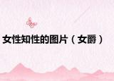 女性知性的圖片（女爵）