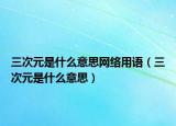 三次元是什么意思網絡用語（三次元是什么意思）