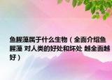 魚腥藻屬于什么生物（全面介紹魚腥藻 對(duì)人類的好處和壞處 越全面越好）