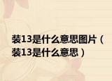 裝13是什么意思圖片（裝13是什么意思）