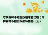 守護(hù)森林不被白蟻破壞的動物（守護(hù)森林不被白蟻破壞的是什么）
