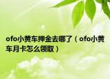 ofo小黃車押金去哪了（ofo小黃車月卡怎么領(lǐng)?。? /></span></a>
                        <h2><a href=