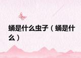 蛹是什么蟲子（蛹是什么）