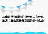 三山五岳分別指的是什么山在什么地方（三山五岳分別指的是什么山）