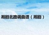 湘劇北路調(diào)曲譜（湘?。? /></span></a>
                        <h2><a href=