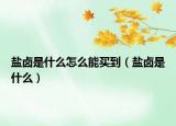 鹽鹵是什么怎么能買到（鹽鹵是什么）