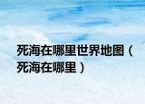 死海在哪里世界地圖（死海在哪里）