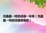 亮晶晶一樣的詞語一年級（亮晶晶一樣的詞語有哪些）