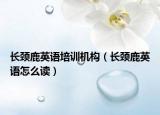 長頸鹿英語培訓(xùn)機(jī)構(gòu)（長頸鹿英語怎么讀）