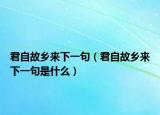 君自故鄉(xiāng)來(lái)下一句（君自故鄉(xiāng)來(lái)下一句是什么）