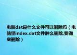 電腦dat是什么文件可以刪除嗎（電腦里index.dat文件腫么刪除,要徹底刪除）