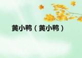黃小鴨（黃小鴨）