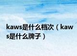 kaws是什么檔次（kaws是什么牌子）
