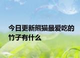今日更新熊貓最?lèi)?ài)吃的竹子有什么