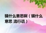 騷什么意思啊（騷什么意思 流行語）