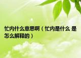 忙內(nèi)什么意思?。?nèi)是什么 是怎么解釋的）