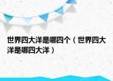 世界四大洋是哪四個（世界四大洋是哪四大洋）