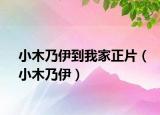 小木乃伊到我家正片（小木乃伊）